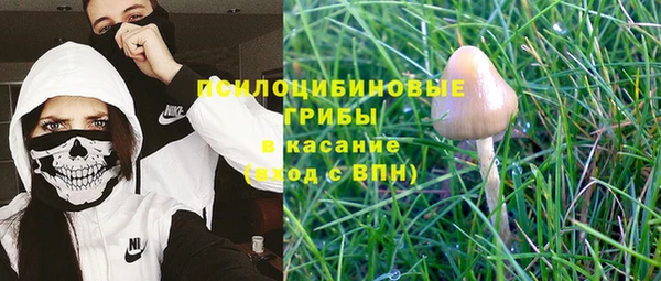 МДПВ Горняк