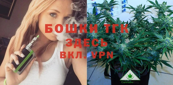 МДПВ Горняк